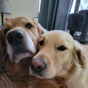 Meet your Posher, Heidi